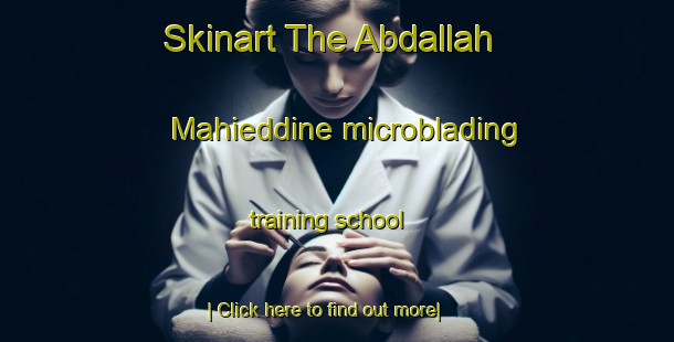 Skinart The Abdallah Mahieddine microblading training school-United Kingdom