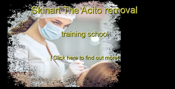 Skinart The Acito removal training school-United Kingdom