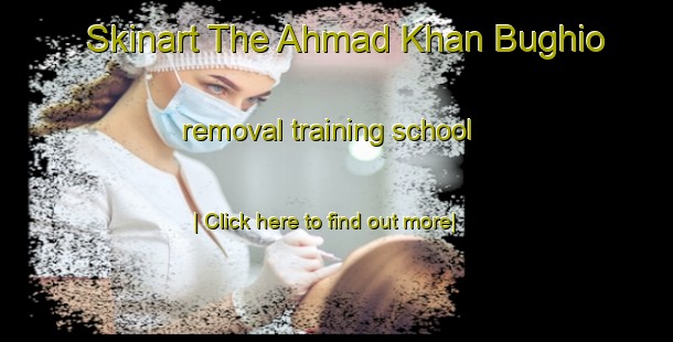 Skinart The Ahmad Khan Bughio removal training school-United Kingdom