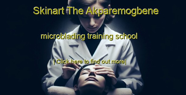 Skinart The Akparemogbene microblading training school-United Kingdom