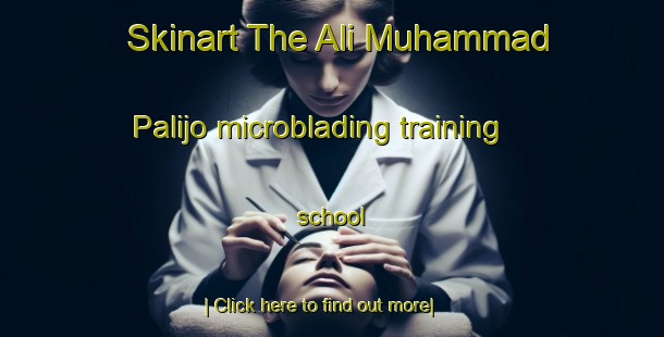 Skinart The Ali Muhammad Palijo microblading training school-United Kingdom