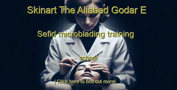 Skinart The Aliabad Godar E Sefid microblading training school-United Kingdom