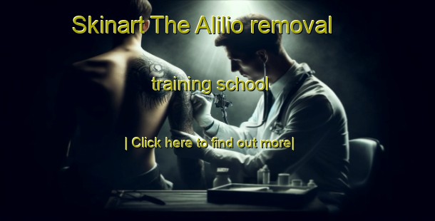 Skinart The Alilio removal training school-United Kingdom