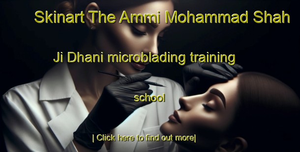 Skinart The Ammi Mohammad Shah Ji Dhani microblading training school-United Kingdom