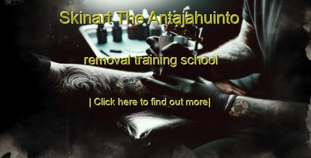 Skinart The Antajahuinto removal training school-United Kingdom