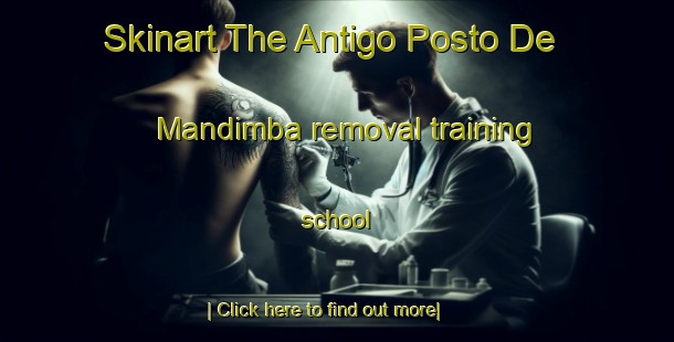 Skinart The Antigo Posto De Mandimba removal training school-United Kingdom