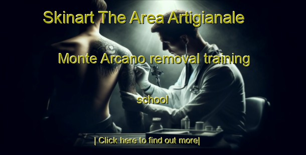 Skinart The Area Artigianale Monte Arcano removal training school-United Kingdom