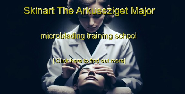 Skinart The Arkussziget Major microblading training school-United Kingdom