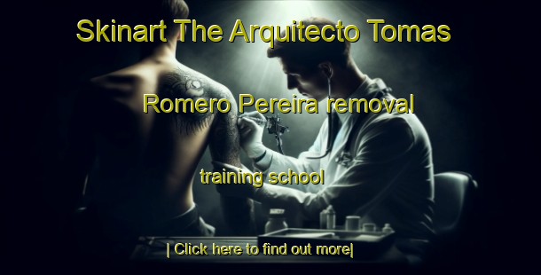 Skinart The Arquitecto Tomas Romero Pereira removal training school-United Kingdom