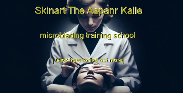 Skinart The Aspanr Kalle microblading training school-United Kingdom