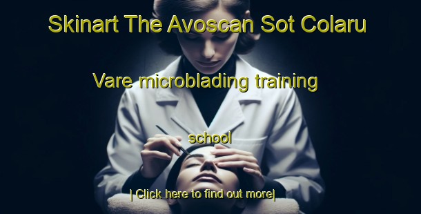 Skinart The Avoscan Sot Colaru Vare microblading training school-United Kingdom