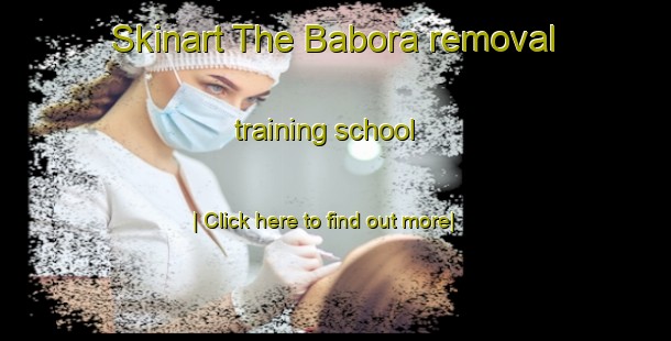 Skinart The Babora removal training school-United Kingdom