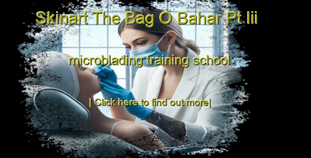 Skinart The Bag O Bahar Pt Iii microblading training school-United Kingdom