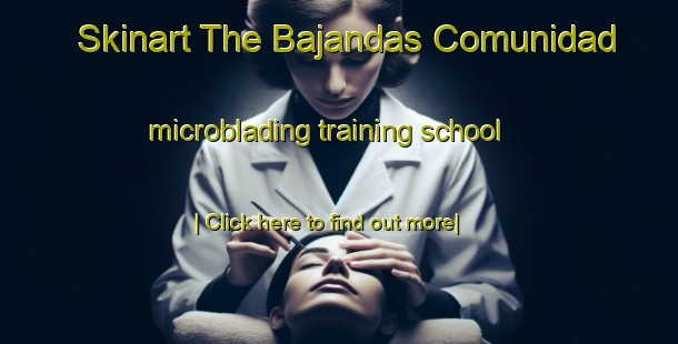 Skinart The Bajandas Comunidad microblading training school-United Kingdom