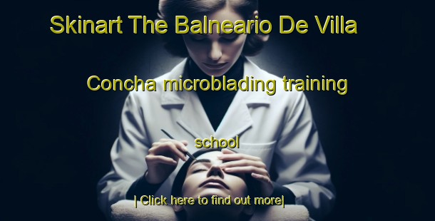 Skinart The Balneario De Villa Concha microblading training school-United Kingdom