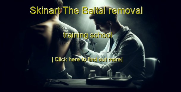 Skinart The Baltal removal training school-United Kingdom