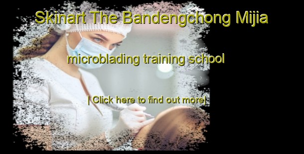 Skinart The Bandengchong Mijia microblading training school-United Kingdom