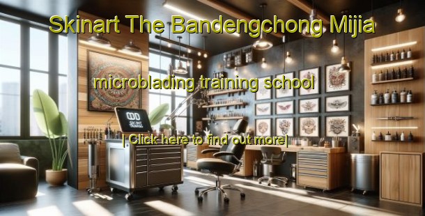 Skinart The Bandengchong Mijia microblading training school-United Kingdom