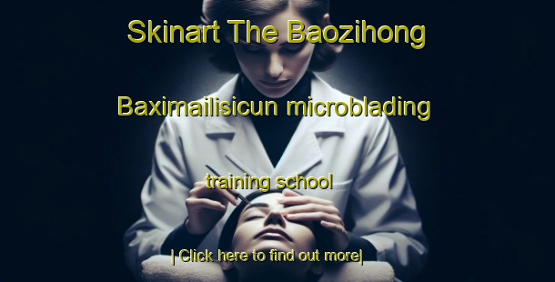 Skinart The Baozihong Baximailisicun microblading training school-United Kingdom