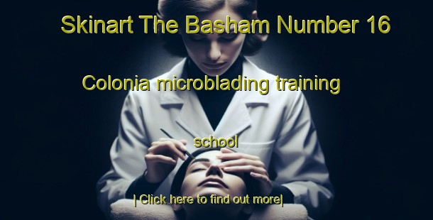 Skinart The Basham Number 16 Colonia microblading training school-United Kingdom