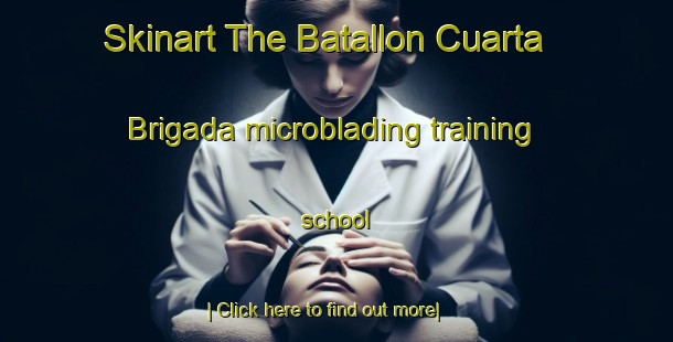 Skinart The Batallon Cuarta Brigada microblading training school-United Kingdom