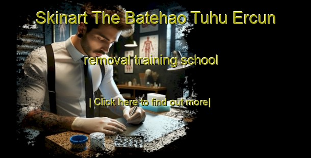 Skinart The Batehao Tuhu Ercun removal training school-United Kingdom