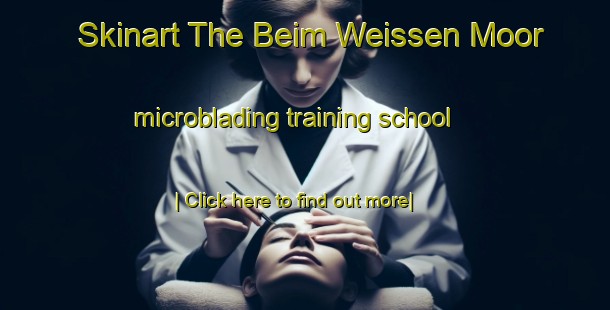 Skinart The Beim Weissen Moor microblading training school-United Kingdom