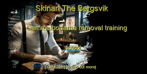 Skinart The Bergsvik Gammalbodarna removal training school-United Kingdom