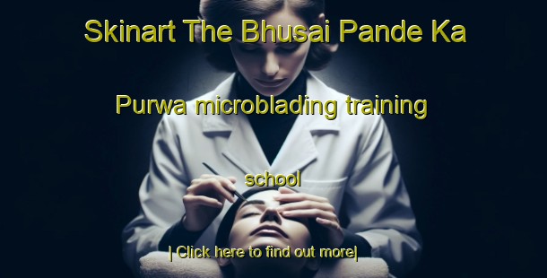 Skinart The Bhusai Pande Ka Purwa microblading training school-United Kingdom