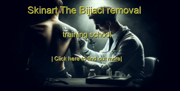 Skinart The Bijiaci removal training school-United Kingdom