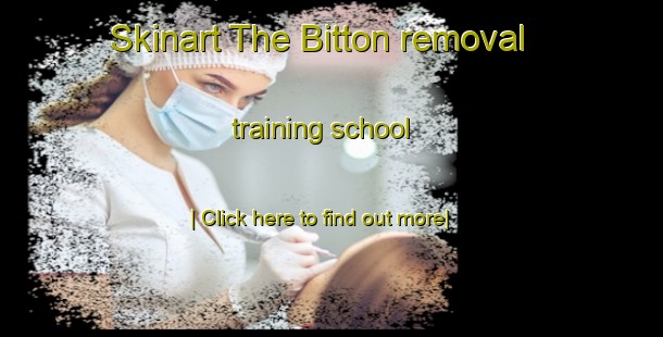 Skinart The Bitton removal training school-United Kingdom