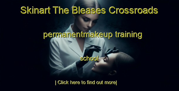 Skinart The Bleases Crossroads permanentmakeup training school-United Kingdom