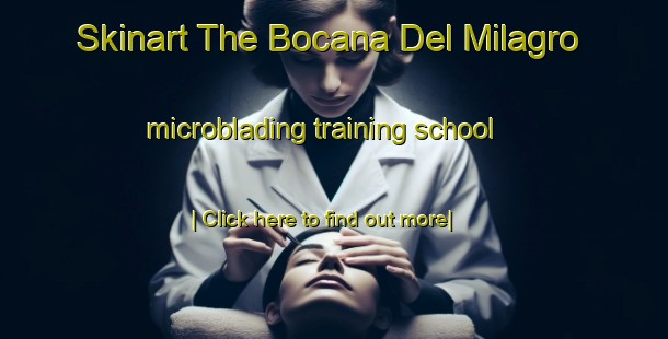 Skinart The Bocana Del Milagro microblading training school-United Kingdom