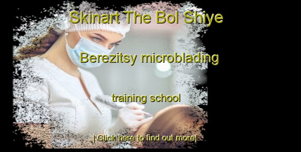 Skinart The Bol Shiye Berezitsy microblading training school-United Kingdom