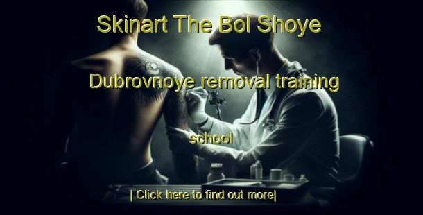 Skinart The Bol Shoye Dubrovnoye removal training school-United Kingdom