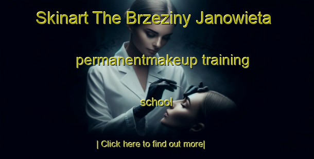 Skinart The Brzeziny Janowieta permanentmakeup training school-United Kingdom