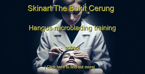 Skinart The Bukit Cerung Hangus microblading training school-United Kingdom