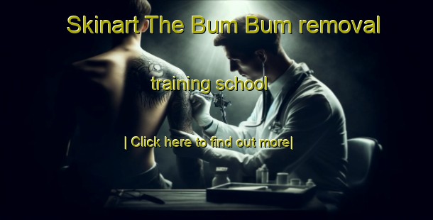 Skinart The Bum Bum removal training school-United Kingdom