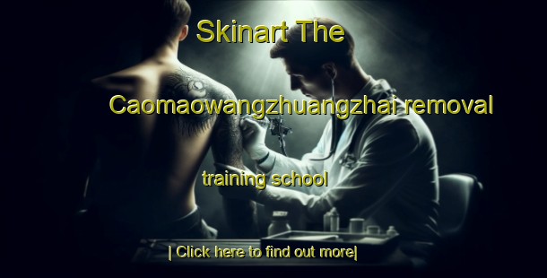 Skinart The Caomaowangzhuangzhai removal training school-United Kingdom