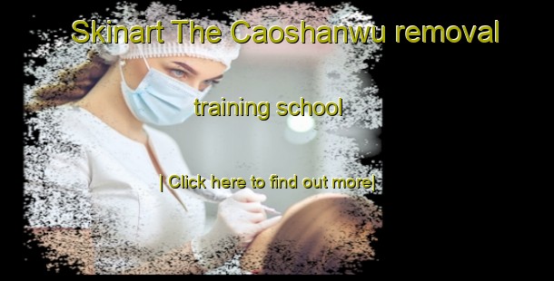 Skinart The Caoshanwu removal training school-United Kingdom