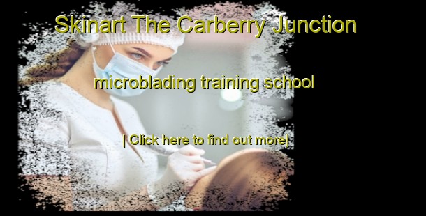 Skinart The Carberry Junction microblading training school-United Kingdom