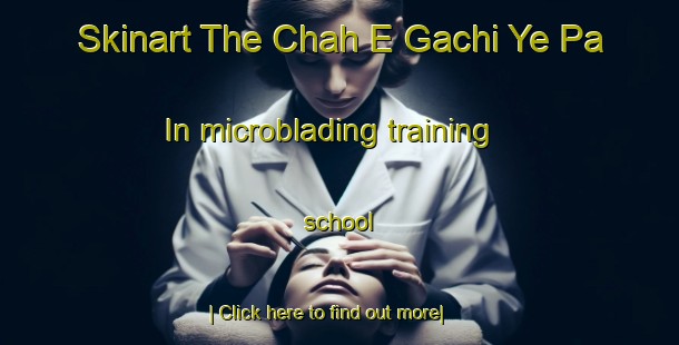 Skinart The Chah E Gachi Ye Pa In microblading training school-United Kingdom