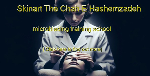 Skinart The Chah E Hashemzadeh microblading training school-United Kingdom