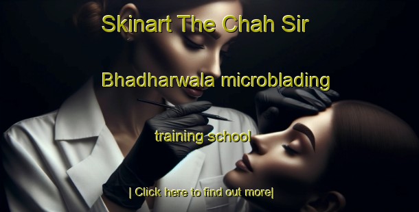 Skinart The Chah Sir Bhadharwala microblading training school-United Kingdom