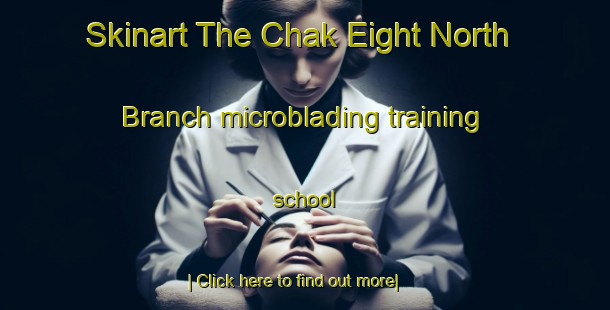 Skinart The Chak Eight North Branch microblading training school-United Kingdom