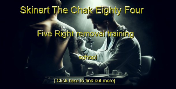 Skinart The Chak Eighty Four   Five Right removal training school-United Kingdom