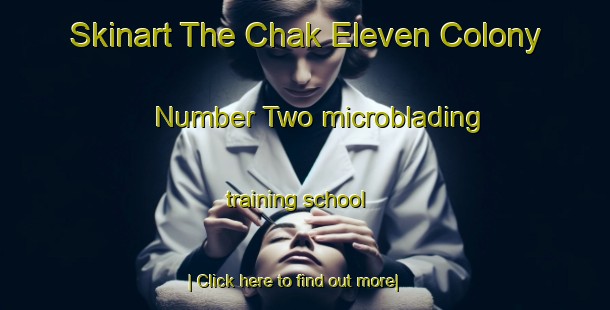 Skinart The Chak Eleven Colony Number Two microblading training school-United Kingdom