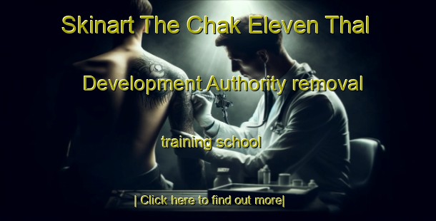 Skinart The Chak Eleven Thal Development Authority removal training school-United Kingdom