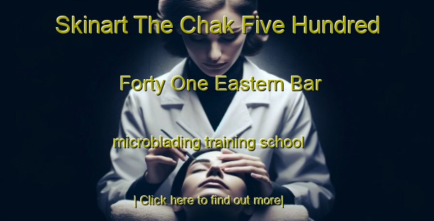 Skinart The Chak Five Hundred Forty One Eastern Bar microblading training school-United Kingdom