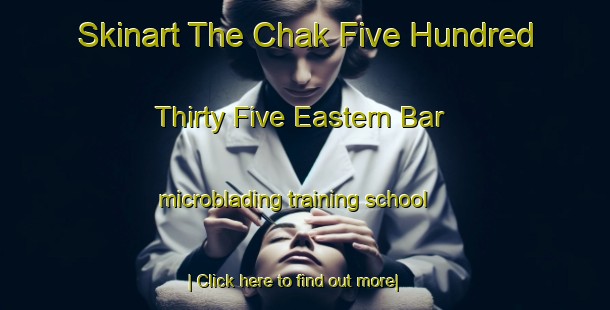 Skinart The Chak Five Hundred Thirty Five Eastern Bar microblading training school-United Kingdom